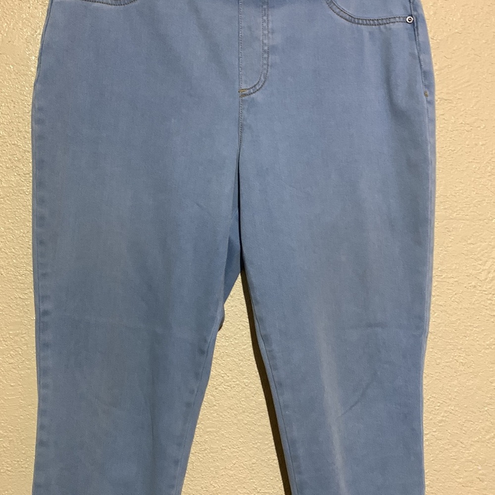 Style & Co Capris Pants Jeggins Blue Size L Stretchy Pull up - Picture 3 of 12